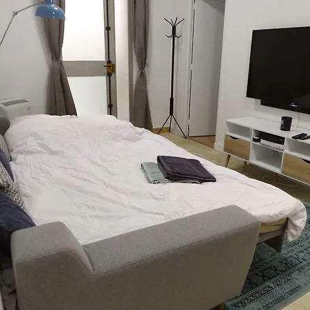 Apartment Rue Turgot Paris